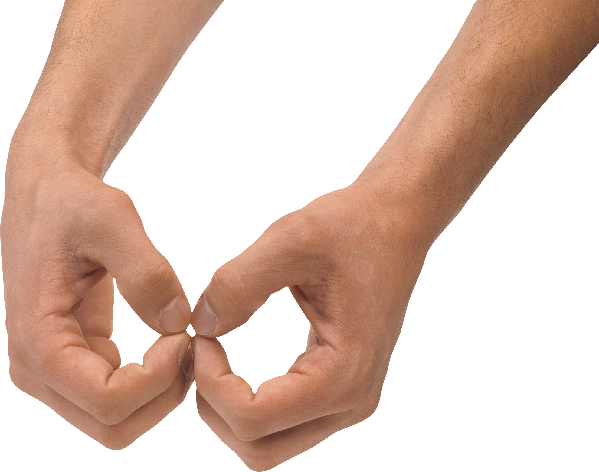 Download - Holding Hand Transparent Background (1980x1561), Png Download