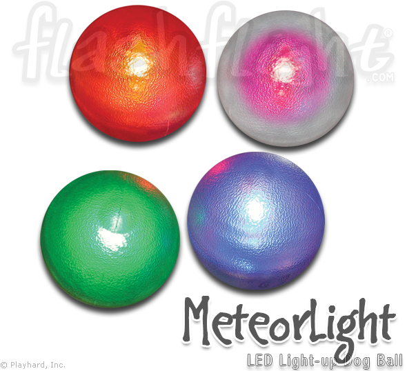 Meteorlight Led Dog Ball - Dog (600x600), Png Download