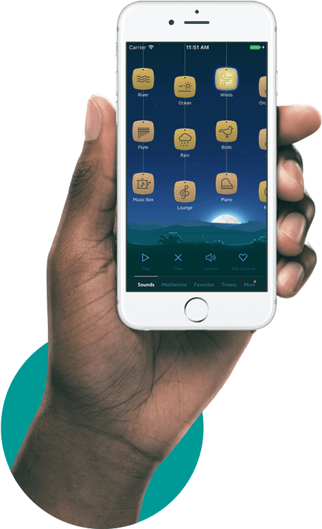 Blog - Android Phone In Hand Mockup (502x780), Png Download