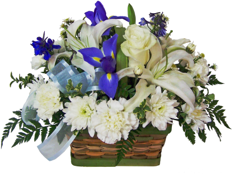 Baby Boy Basket Arrangement - Bouquet (480x480), Png Download