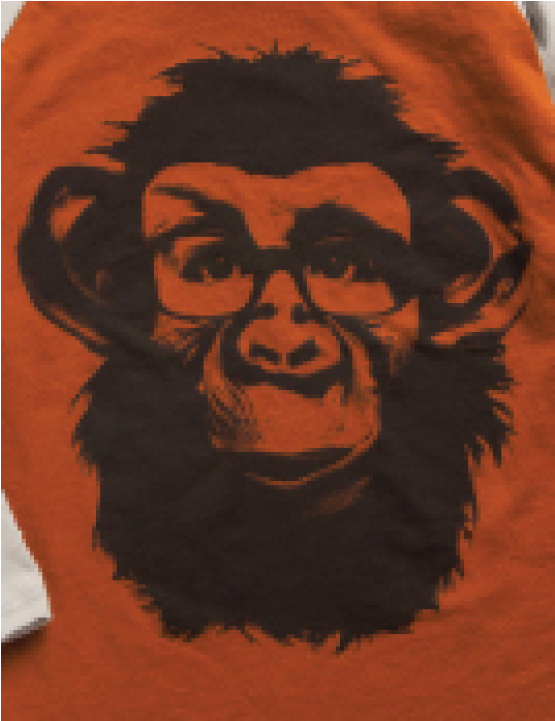 Mini & Maximus Love Your Monkey Face - Common Chimpanzee (960x720), Png Download