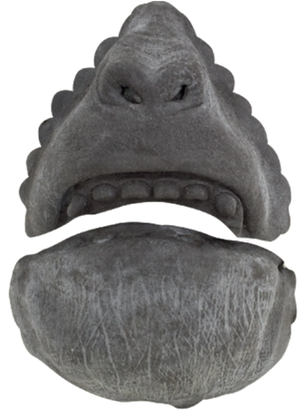 Monkey Face Large - Saltwater Crocodile (510x600), Png Download