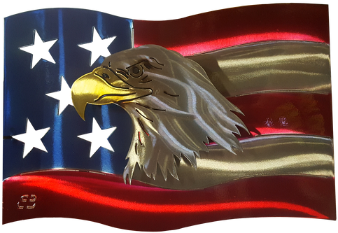 American Flag Suit (498x332), Png Download