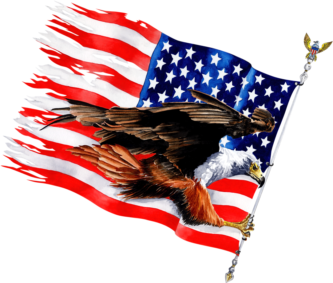 Flying Eagle Flag - Printed T-shirt (1200x1046), Png Download