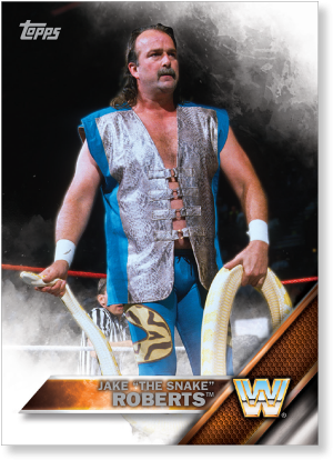 2016 Topps Wwe Jake "the Snake" Roberts Base Poster - 2016 Topps Wwe Base Cards Topps (500x500), Png Download