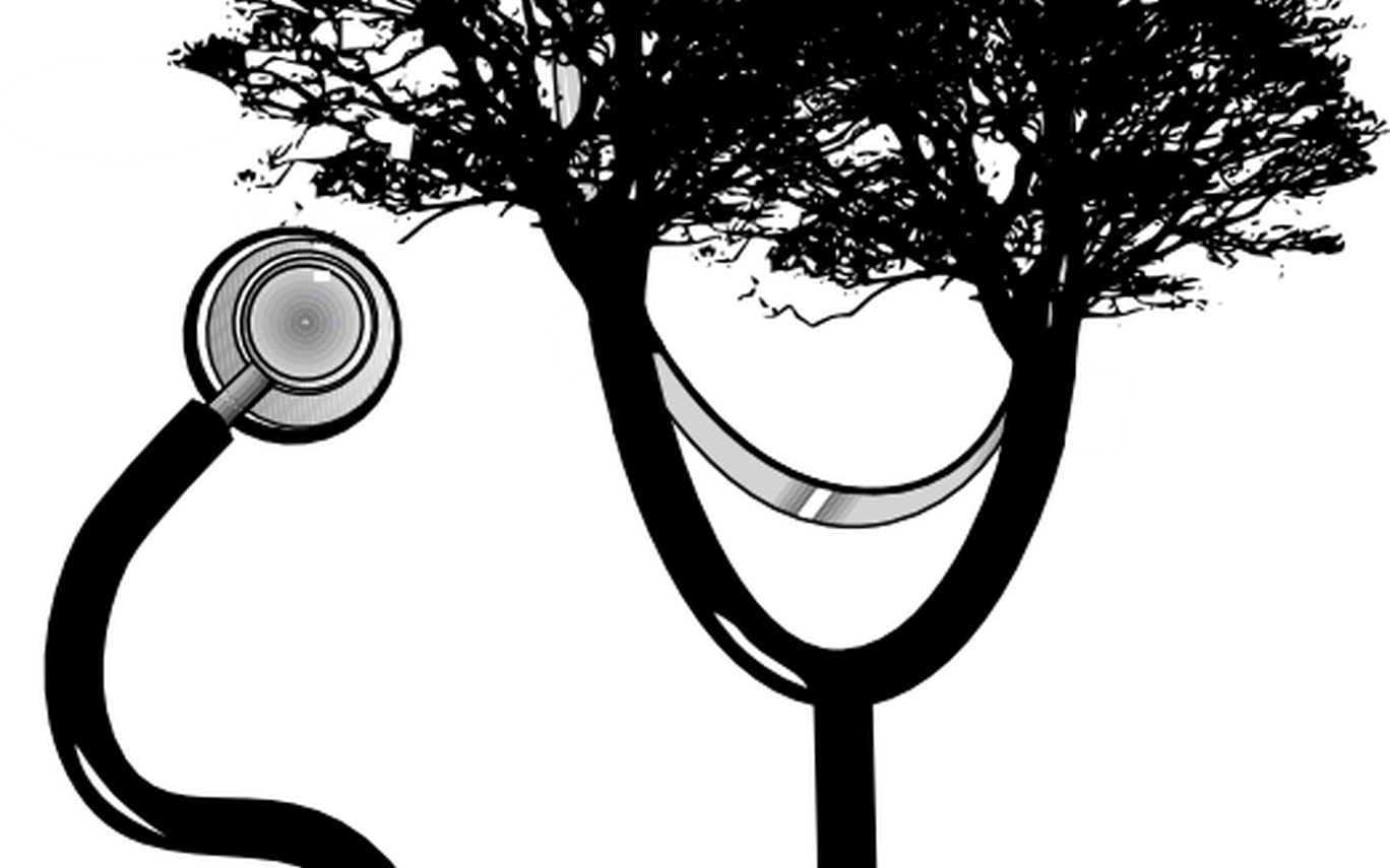 Stethoscope Apple Banner Freeuse Techflourish Collections - Oak Tree Silhouette (1368x855), Png Download