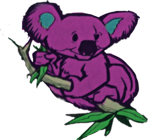 Koala (507x480), Png Download