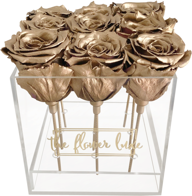 Glass Box - The Flower Luxe (720x891), Png Download