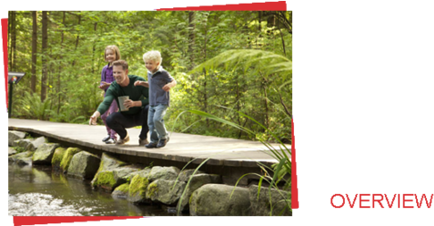 Glass Box Projects - Capilano Suspension Bridge (499x252), Png Download