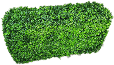 Artificial Buxus Hedge - Box (504x378), Png Download