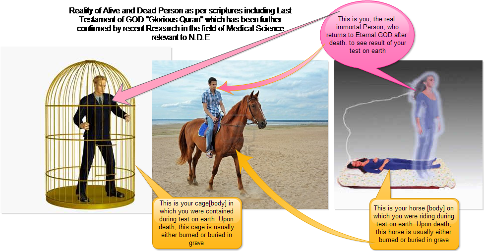 Old Grave Rip Rest In Peace On A Cemetery Editorial - Reality Of Death In Islam (975x520), Png Download