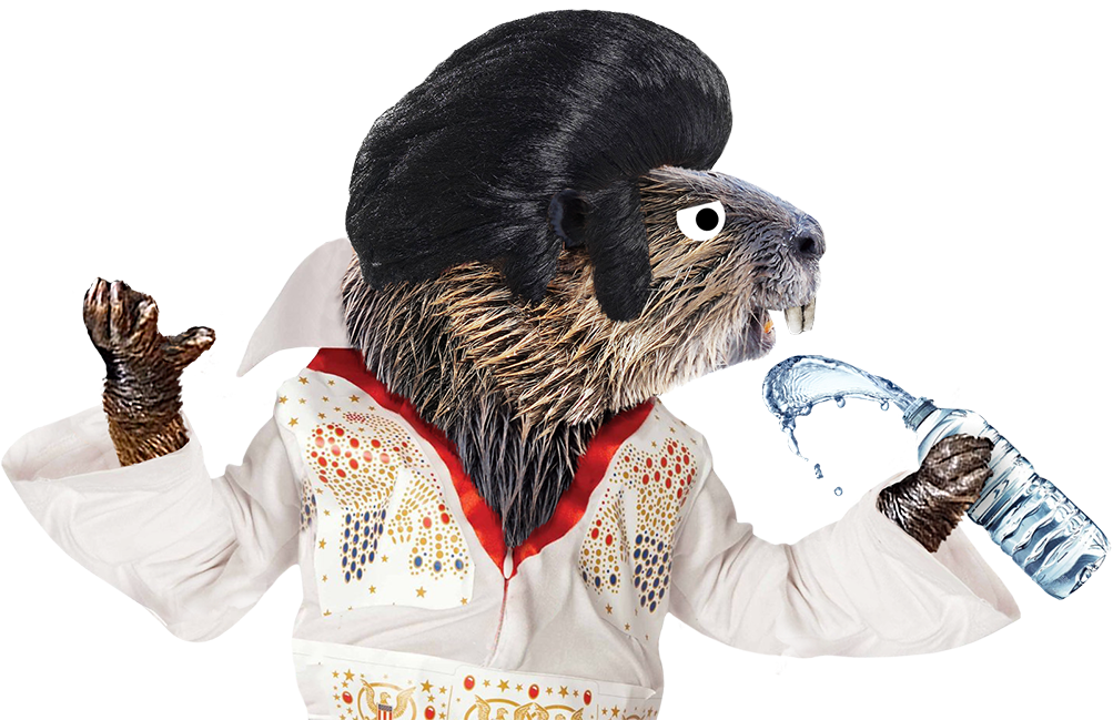 We Also Created The Title Sequence Using A Suitably - Punxsutawney Phil (1200x675), Png Download