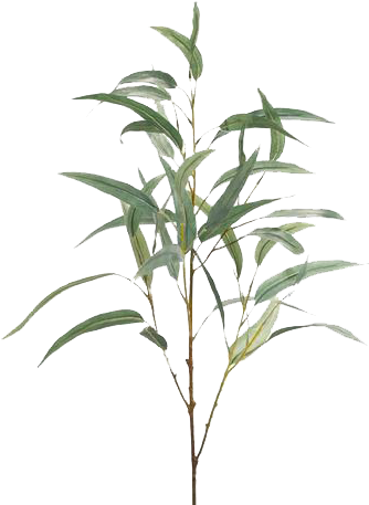 Europalms 79 Cm Aloe Vera Plant, Multi-colour (373x479), Png Download