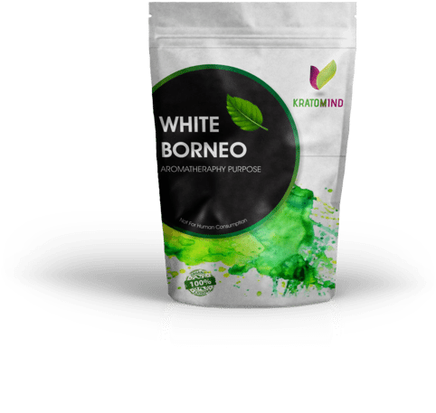 White Borneo - Kratom (800x600), Png Download