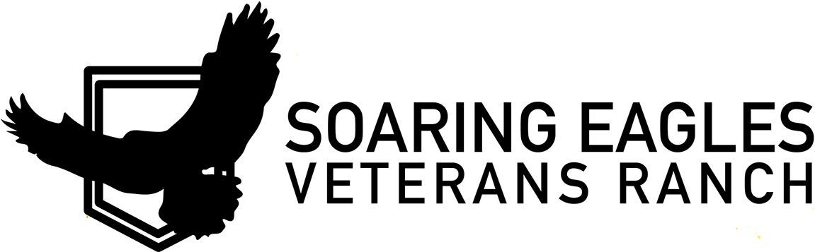 Front Of Brochure - Eagle (1200x386), Png Download