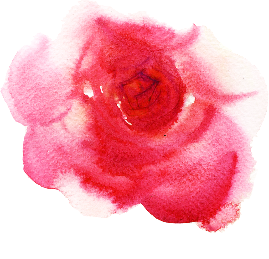 Blood Red Petals Cartoon Transparent - Portable Network Graphics (1024x987), Png Download