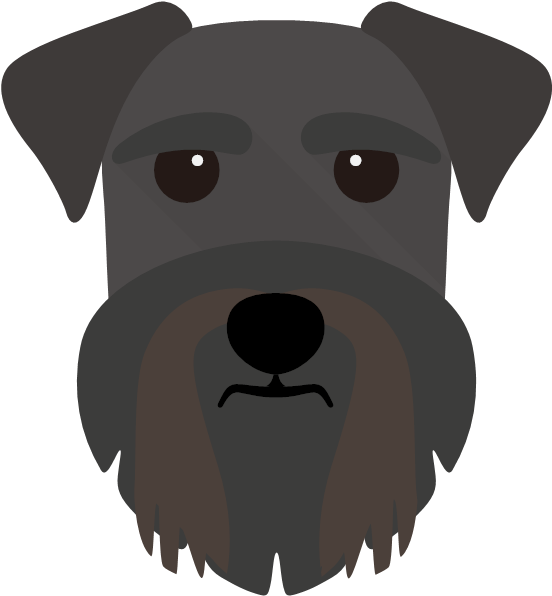 Schnauzer (600x600), Png Download