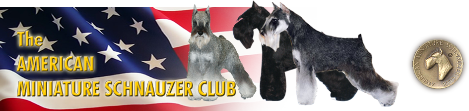 Contacts - Black Miniature Schnauzer Montgomery (945x225), Png Download