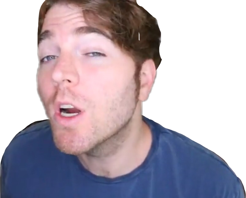 Someone Meme This Shane Shanedawson Shaneleeyaw Freetoe - Shane Dawson Shane Png (800x642), Png Download