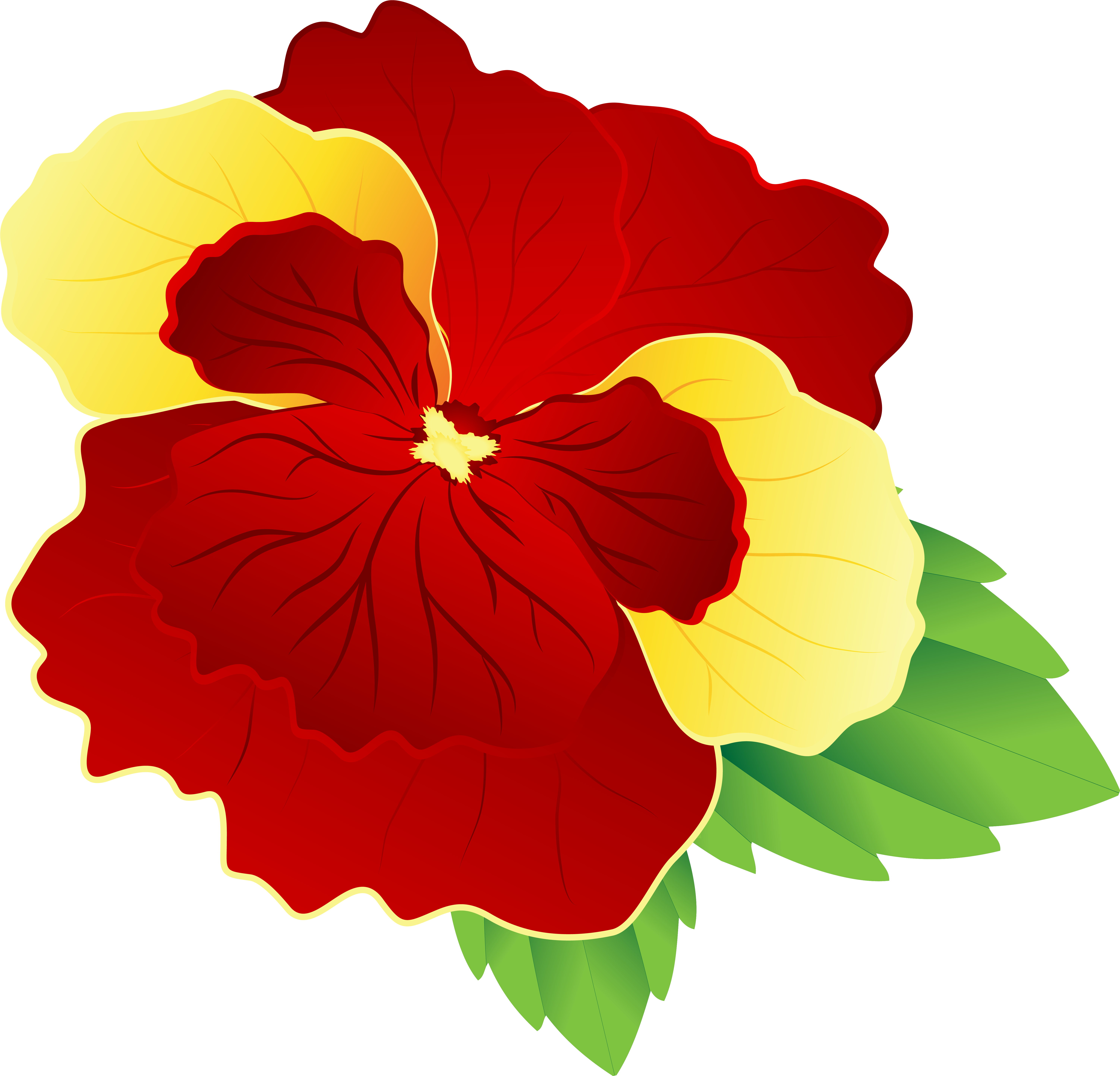 Red And Yellow Flower Png (6120x5877), Png Download