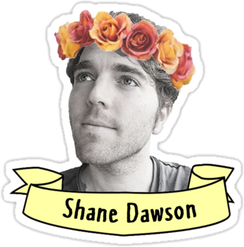 Shane Dawson Shanedawson Freetoedit - Edits Of Shane Dawson With Flower Crown (347x351), Png Download