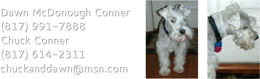 We Have Owned And Loved Schnauzers For Over 25 Years - Schnauzer (961x290), Png Download
