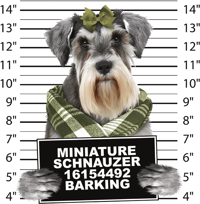 Dachshund Mug Shot Crew Sweatshirt Pick Your Size (675x675), Png Download