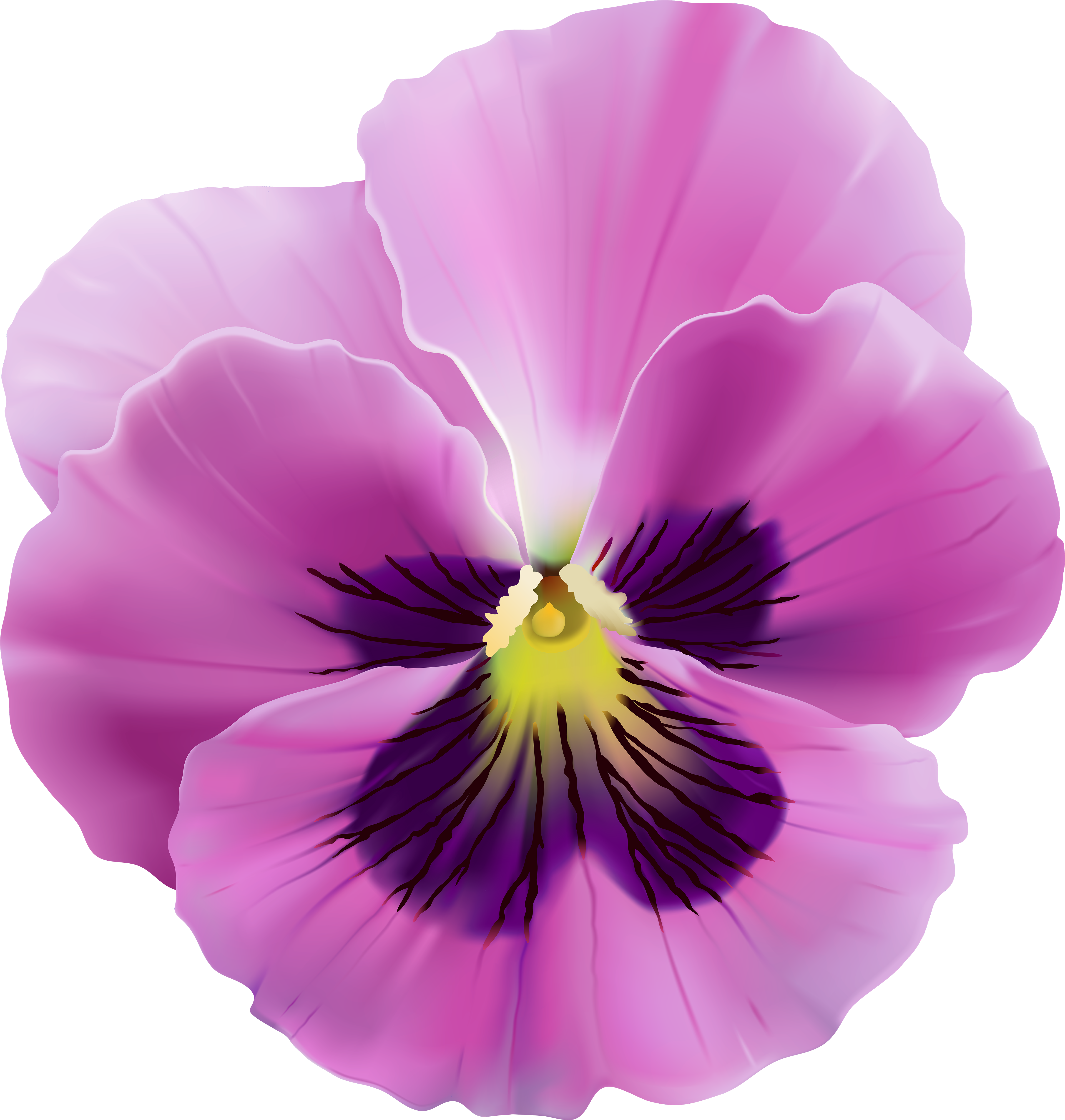 Violet And Pink Flowers Png (4753x5000), Png Download