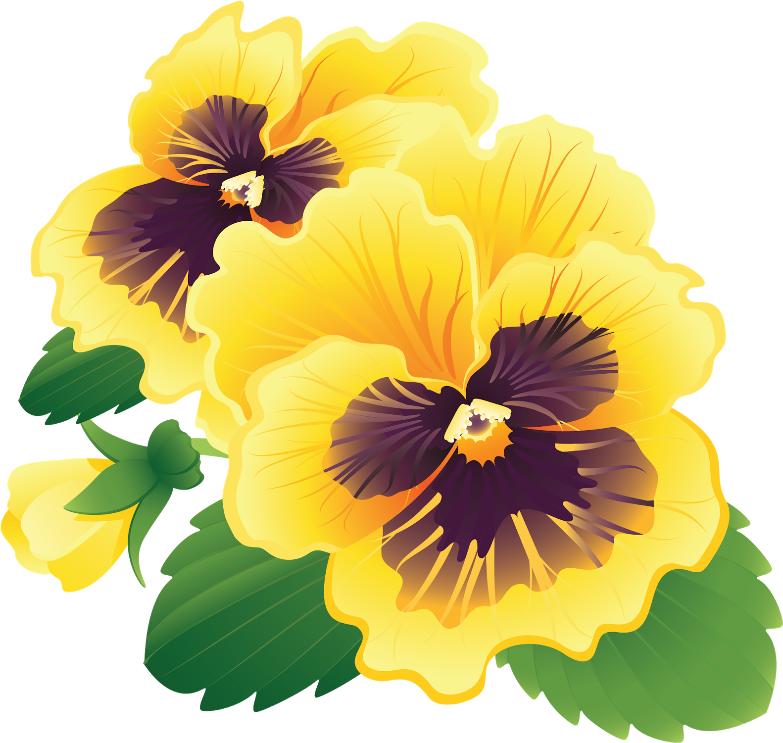 Pansy Clipart Transparent - Transparent Yellow Pansy (1600x1512), Png Download