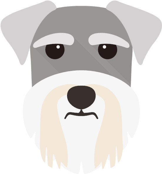 Miniature Schnauzer (600x600), Png Download