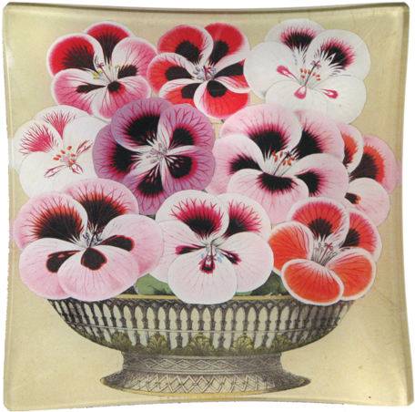 Collection Name - Coin Tray (500x500), Png Download