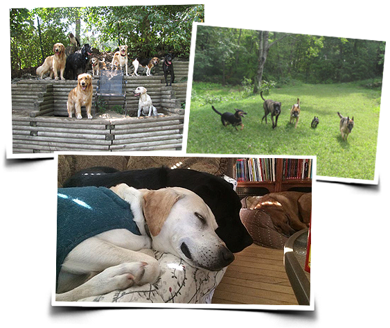 When You Can't Be There Yourself, You Want The Peace - Call Inn (580x500), Png Download