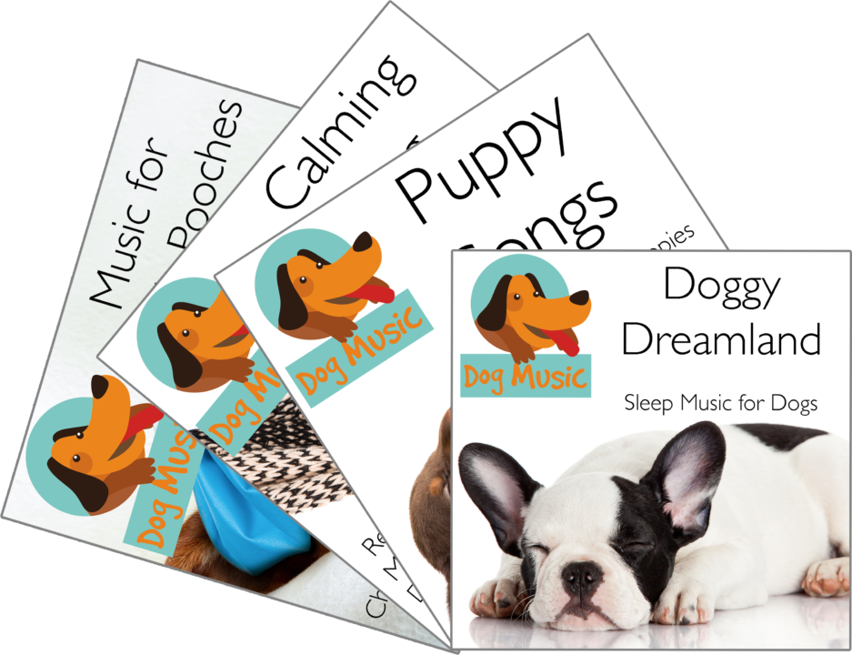 Are You Ready To Cure Your Dog's Anxiety Problems - Dog (937x720), Png Download