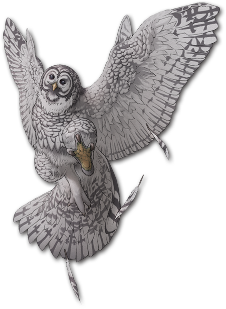 Snowy Owl - Snowy Owl Png (451x615), Png Download
