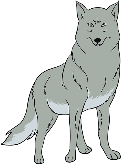 How To Draw Wolf - Wolf Drawing Step By Step Easy (678x600), Png Download