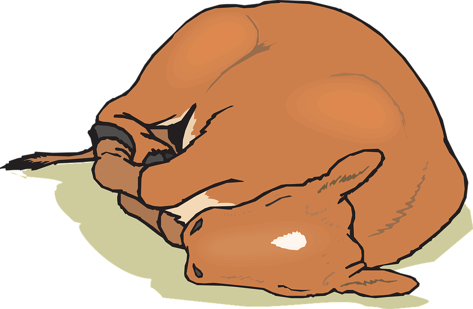 Goat Clipart Horse - Horse Sleeping Clip Art (960x628), Png Download