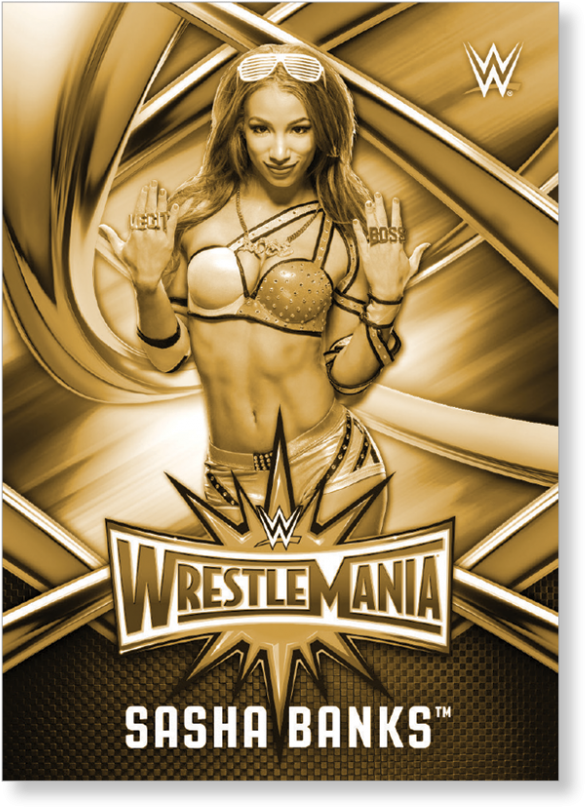 Sasha Banks - 17 Topps Wwe Road To Wrestlemania Hanger Box, Bronze (1440x975), Png Download