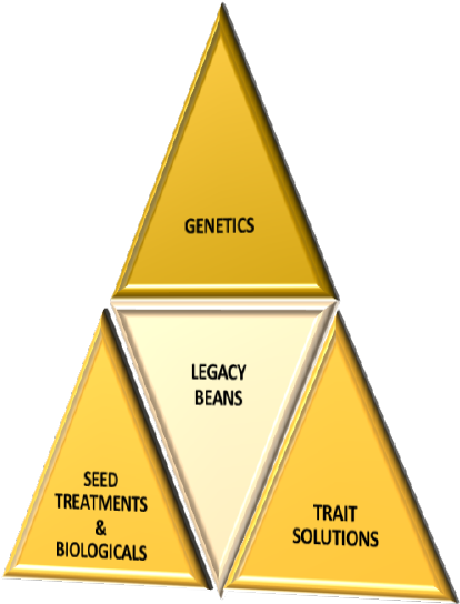 The Most Important Step To Maximizing Your Return On - Triangle (419x556), Png Download