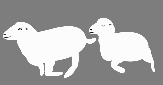 Sheep Goat Mammal Macropodidae Computer Icons - Sheep (655x340), Png Download