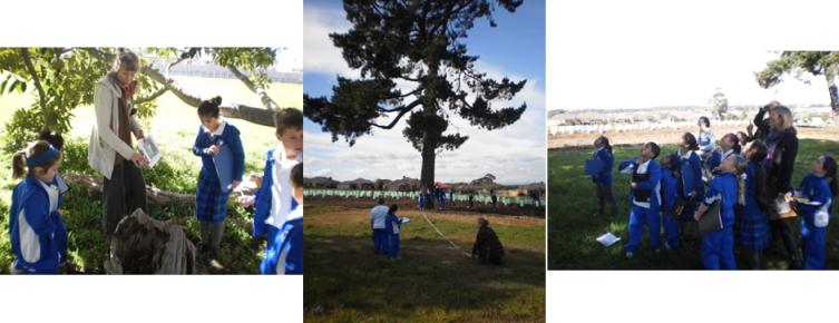 Mother Teresa Ps Photo - Photograph (753x290), Png Download