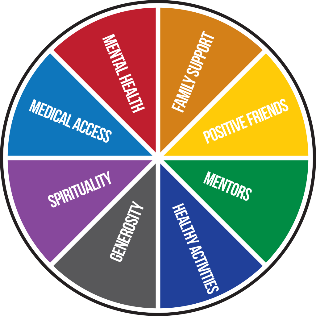 Sources Of Strength Sos Wheel - Healthy Brain: Keeping The Mind Young (1024x1024), Png Download
