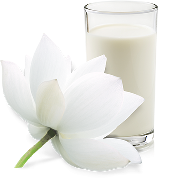 Purity And Clarity - Portable Network Graphics (560x400), Png Download