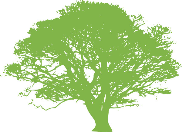 Tree - Tree Silhouette Green (600x436), Png Download