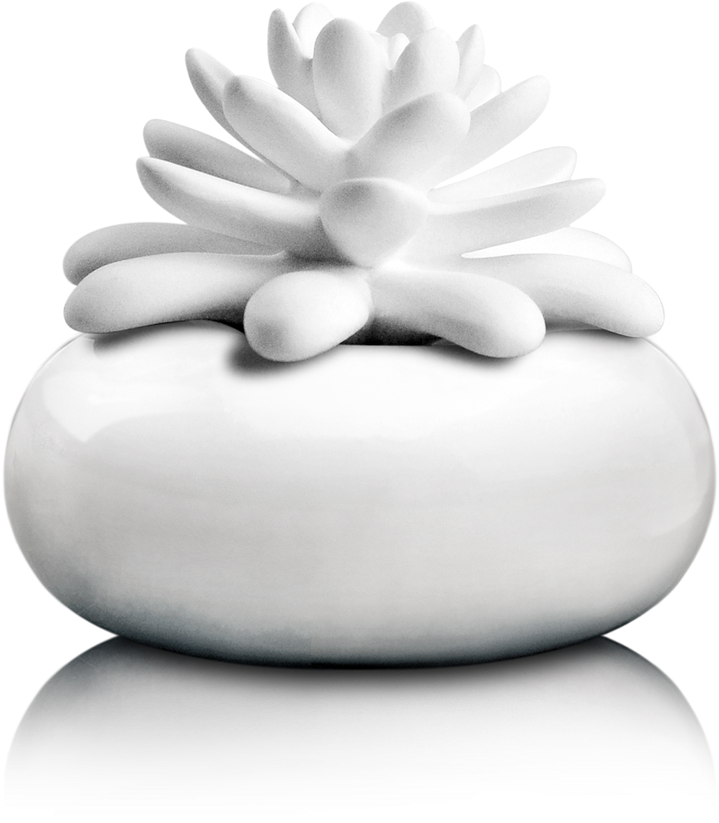White Lotus - Succulent Diffuser (590x600), Png Download