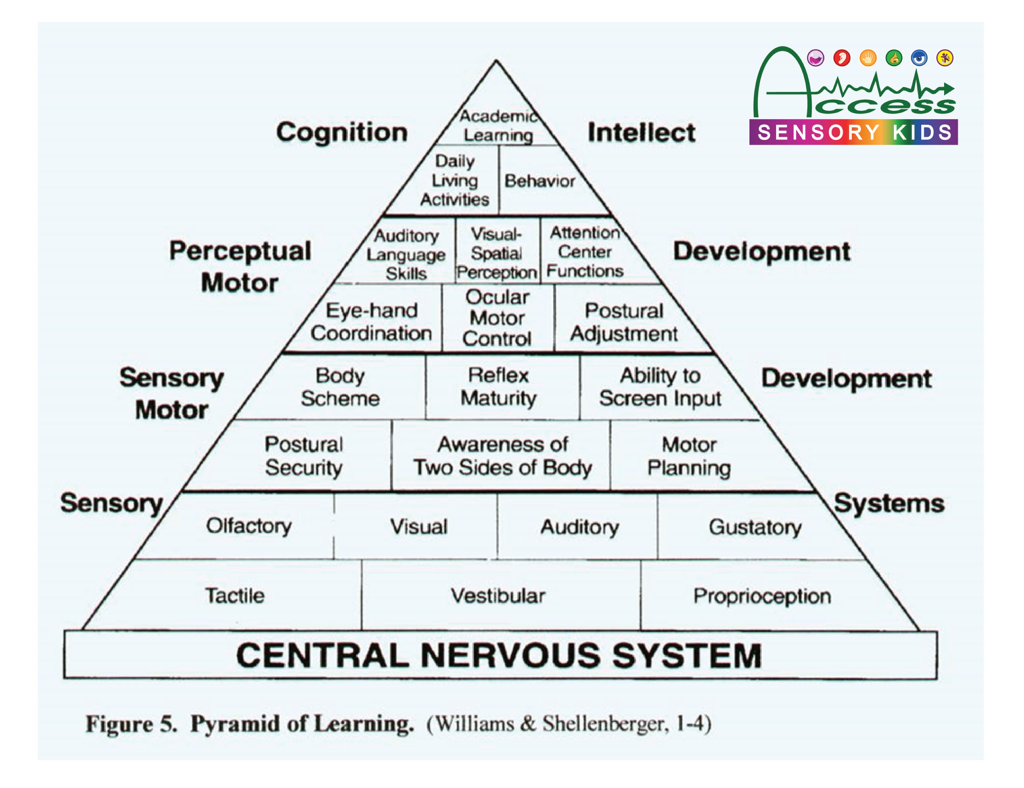 In A Nutshell, Rich Inclusion Means Starting The Creative - Sensory Integration (4096x2894), Png Download