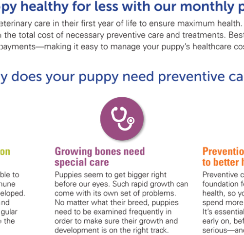 Why Does Your Puppy Need Preventive Care - Society For Family Health (500x500), Png Download