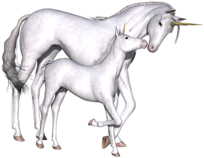 Unicorn, Fantasy, Fairy, Tale, White - Unicornio De Peluche Bebe (436x340), Png Download