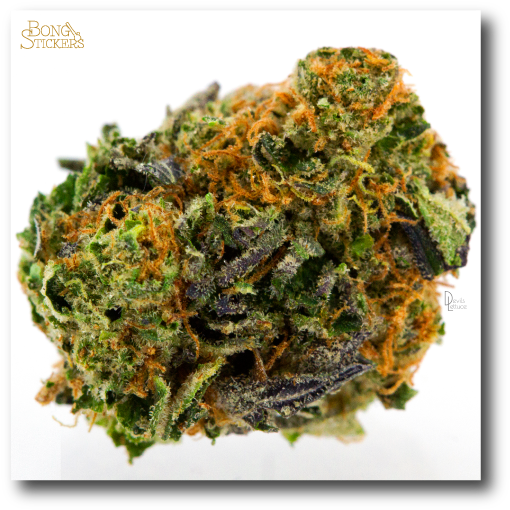 Girl Scout Cookies Weed Sticker - Medical Cannabis (600x600), Png Download