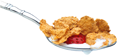 Stock Photo Of Ceramic Bowl Of Cheerios Isolated On - Atkins Diet Journal: 3 (498x247), Png Download