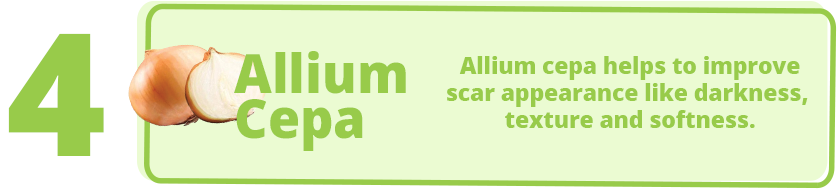 To Effectively Reduce Visibility Of Children's Scars - Graphic Design (886x243), Png Download